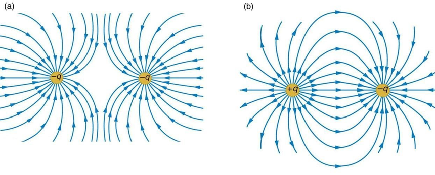 shows electric field lines due