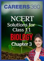 NCERT Solutions for Class 11 Biology - Chapter 3 : Plant Kingdom