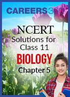 NCERT Solutions for Class 11 Biology - Chapter 5 : Morphology of flowering plants