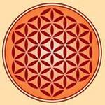 Post Graduate Programme in Management Practice and Leadership