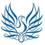 Career Skills for the 2020s Navigating the Online World of Work