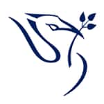 M.Sc Machine Learning and Artificial Intelligence