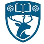 Understanding Insulin