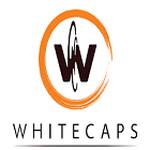 Excellence Diploma Program