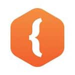 Java Developer Profession