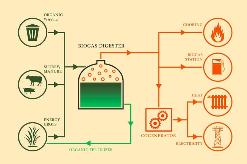 Biomass energy