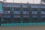 Bal Kalyan Public School- Image