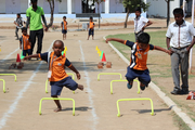 Aurobindo Vidhyalaya School-Activity
