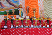Senthil Public School-Awards
