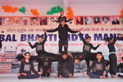 Bal Bharti Vidya Mandir High School-Activity