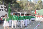 Delhi Public School-Activity