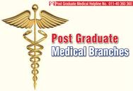 college Name