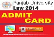 college Name