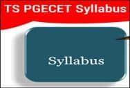 college Name