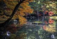 Applications open for The Japanese Government Scholarship 2019