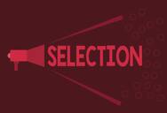 IBPS RRB Selection Process 2020