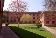 college Name