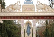 college Name