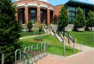 college Name