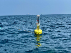 IIT Madras Researchers Develop, Deploy Ocean Wave Energy Converter To Generate Electricity From Sea Waves