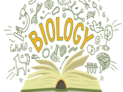 ICSE Semester 2 Biology Exam Tomorrow; Check Specimen Question Paper