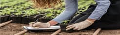 10 Things to Consider Before Pursuing Agricultural Policy and Development Studies