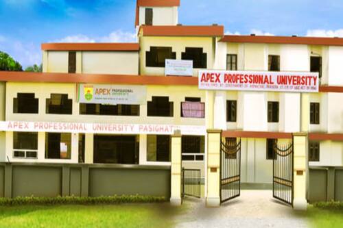 Apex mba eassy writing