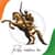 Rani Lakshmi Bai Essay in English: 100, 200 & 500 Words for Students