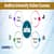 Andhra University Online Courses - Fees and Admission Process