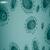 Protozoa: Structure, Classification, Growth, Development, Characteristics