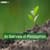 An Overview of Photosystem: Definition, Location, Function, Types, Steps, FAQs