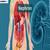 Nephron- Function Of Renal Tubules: Definition, Structure, Diagram, & Facts
