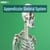 Appendicular Skeleton System: Definition, Function, Anatomy