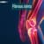 Fibrous Joints: Definition, Meaning, Examples, Types, Diagram, Classification