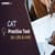 CAT 2025 Practice Test Series 14 - QA, LRDI & VARC | Day 56