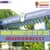Andhra University ICET Cutoff 2025 (Expected) for AU College, Nimra, JNTU, SD College