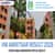 IIM Amritsar Results 2025 OUT (Latest Update): MBA Admission Status 2025-27 Link