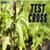 Test Cross: Definition, Meaning, Examples, Synonyms, Genetics
