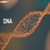 DNA: Full Form, Definition Structure, Function, Diagram, Facts, Discovery