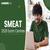 SMEAT Exam Centre 2026: Check Exam Centres Lists Here