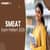 SMEAT Exam Pattern 2026: Marking Scheme, Timings, Paper Pattern, Duration
