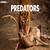Predators: Definition, Meaning, Types, Examples, Facts