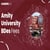 Amity University BDes Fees