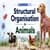 Structural Organisation in Animals