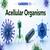 Acellular Organisms - Meaning, Types and Function