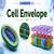 cell envelope: Composition, Types, Functions, Structure, Diagram