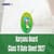 Haryana Board Class 11 Date Sheet 2027: Check HBSE 11th Exam Dates