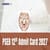 PSEB 12th Admit Card 2026 Out - Download PSEB Class 12 Hall Ticket