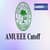 AMUEEE Cutoff 2025 - Get Expected Cutoff & Previous Year Cutoff