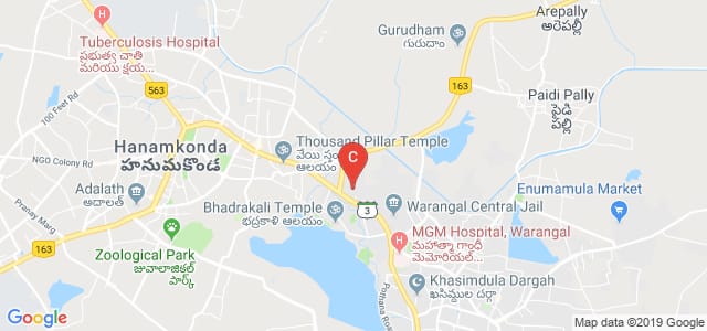 Warangal 506007, India